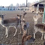 Апартаменти Aneri *