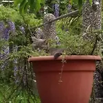 Апартаменти Aneri Любляна