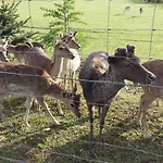 Апартаменти Aneri Любляна