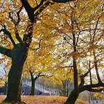 Aneri * Любляна