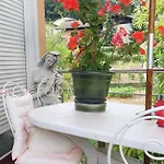 Aneri Любляна