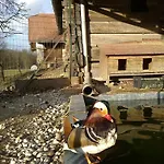 Aneri * Любляна