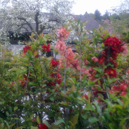 Aneri Апартаменти Любляна