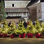Aneri *