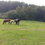 Aneri *