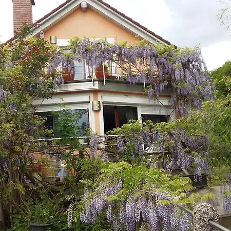 Aneri Apartment