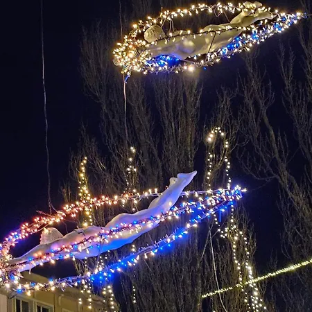 Aneri Ljubljana