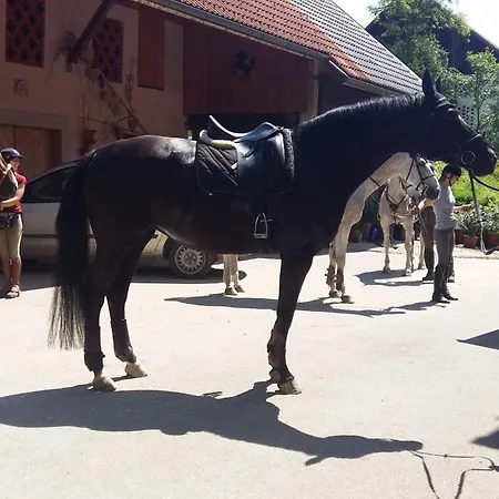 Appartement Aneri Ljubljana
