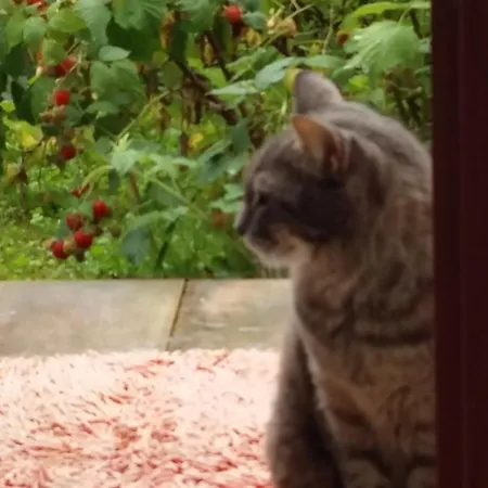 Aneri Appartement Ljubljana