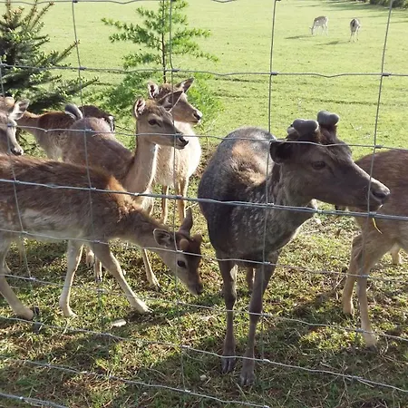 Appartement Aneri Ljubljana