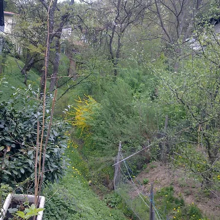 Aneri Apartman *