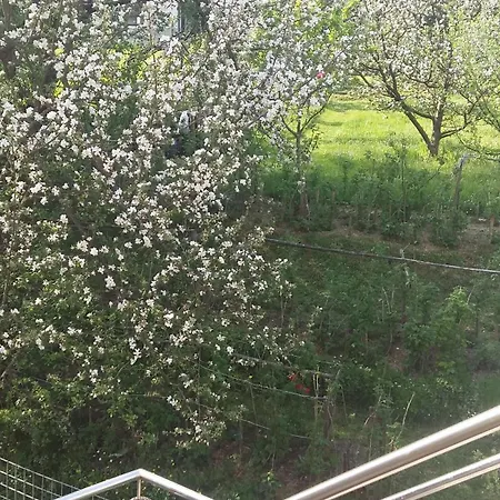 Aneri Appartamento *
