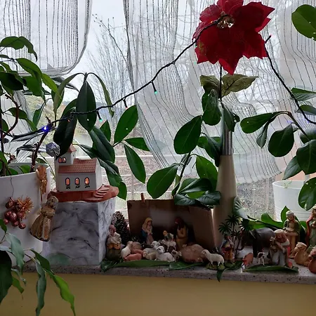 Aneri Apartment *