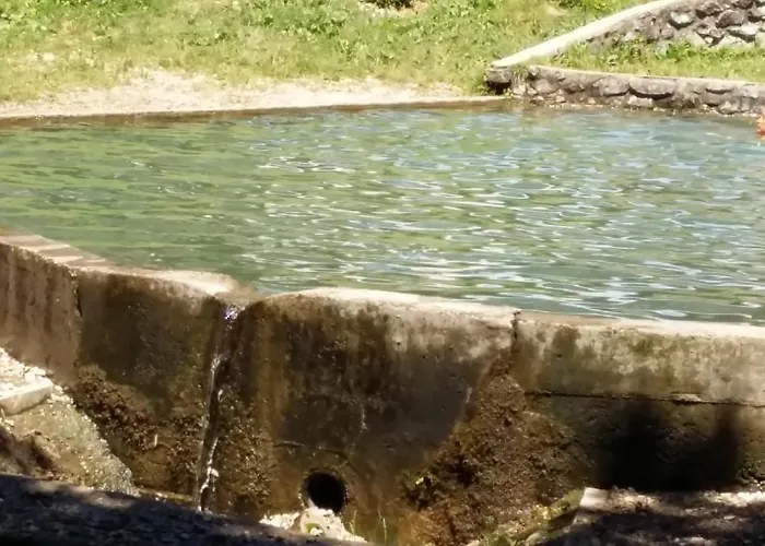 Daire Aneri Ljubljana