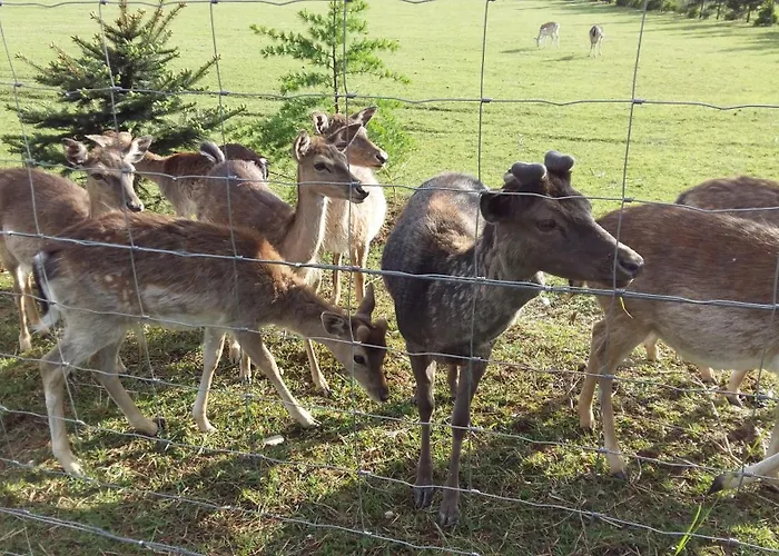 דירה Aneri לובליאנה
