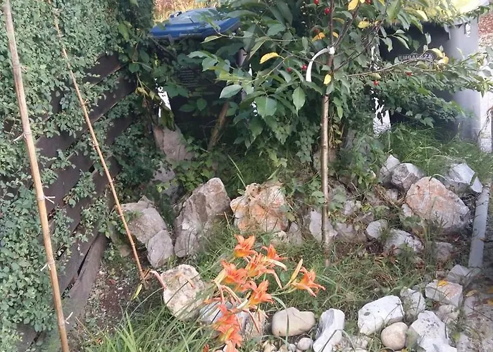 Aneri شقة ليوبليانا