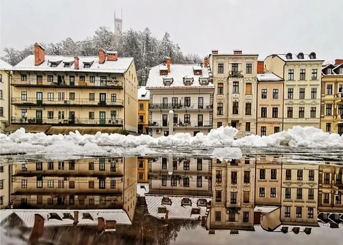 Daire Aneri Ljubljana