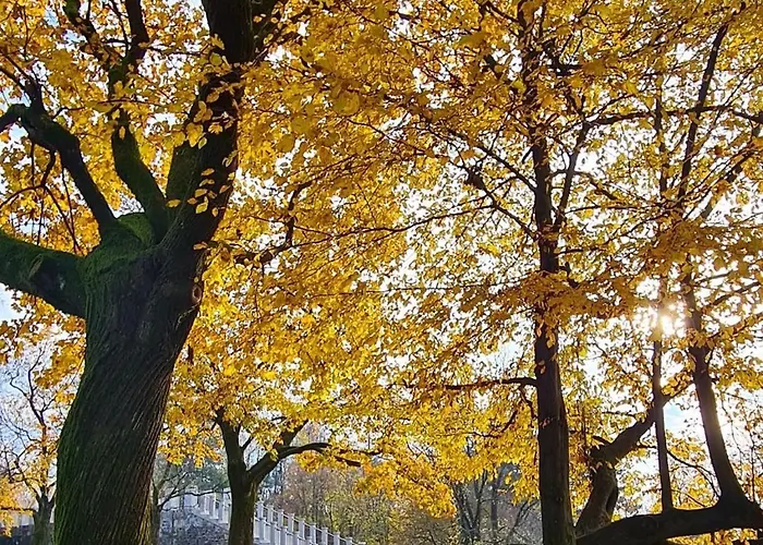 Aneri * ليوبليانا