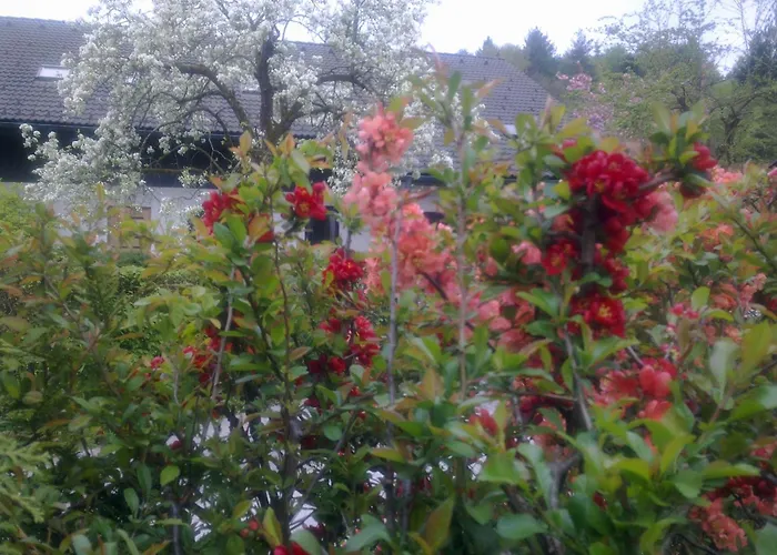 Aneri شقة ليوبليانا